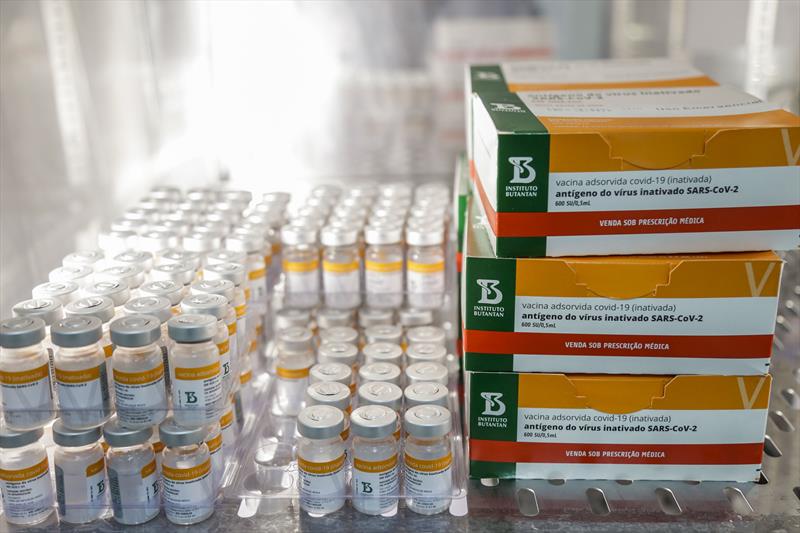  Novo lote com 184 mil doses da vacina contra a Covid-19 chega ao Paraná