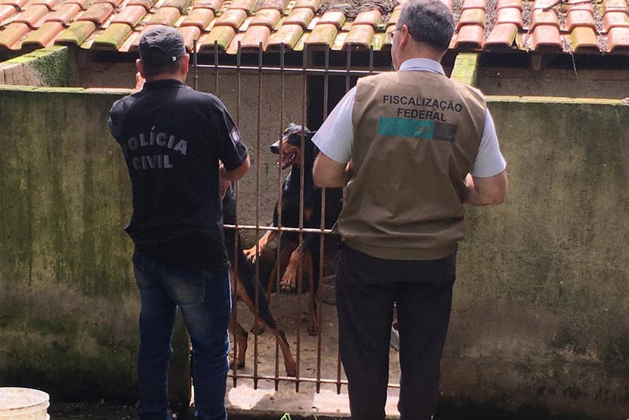 Casal é denunciado por maus-tratos de animais, em Curitiba