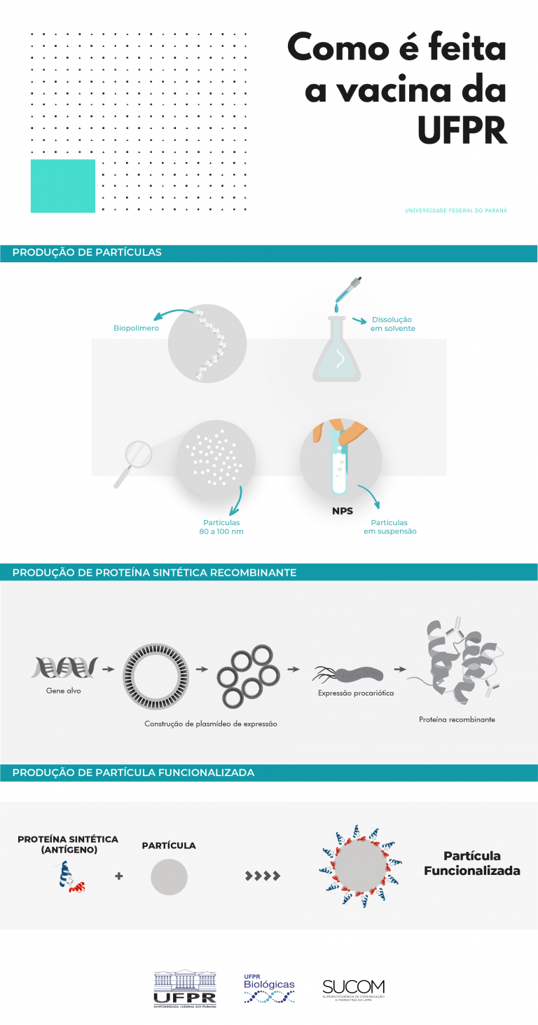  Pesquisadores ajudam população a tirar dúvidas sobre vacina desenvolvida pela UFPR contra a Covid-19