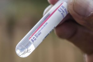 Dengue: boletim confirma 152 casos novos