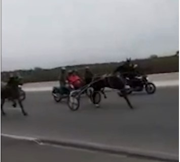  Polícia procura por organizadores de corrida ilegal de cavalos em Piraquara, RMC