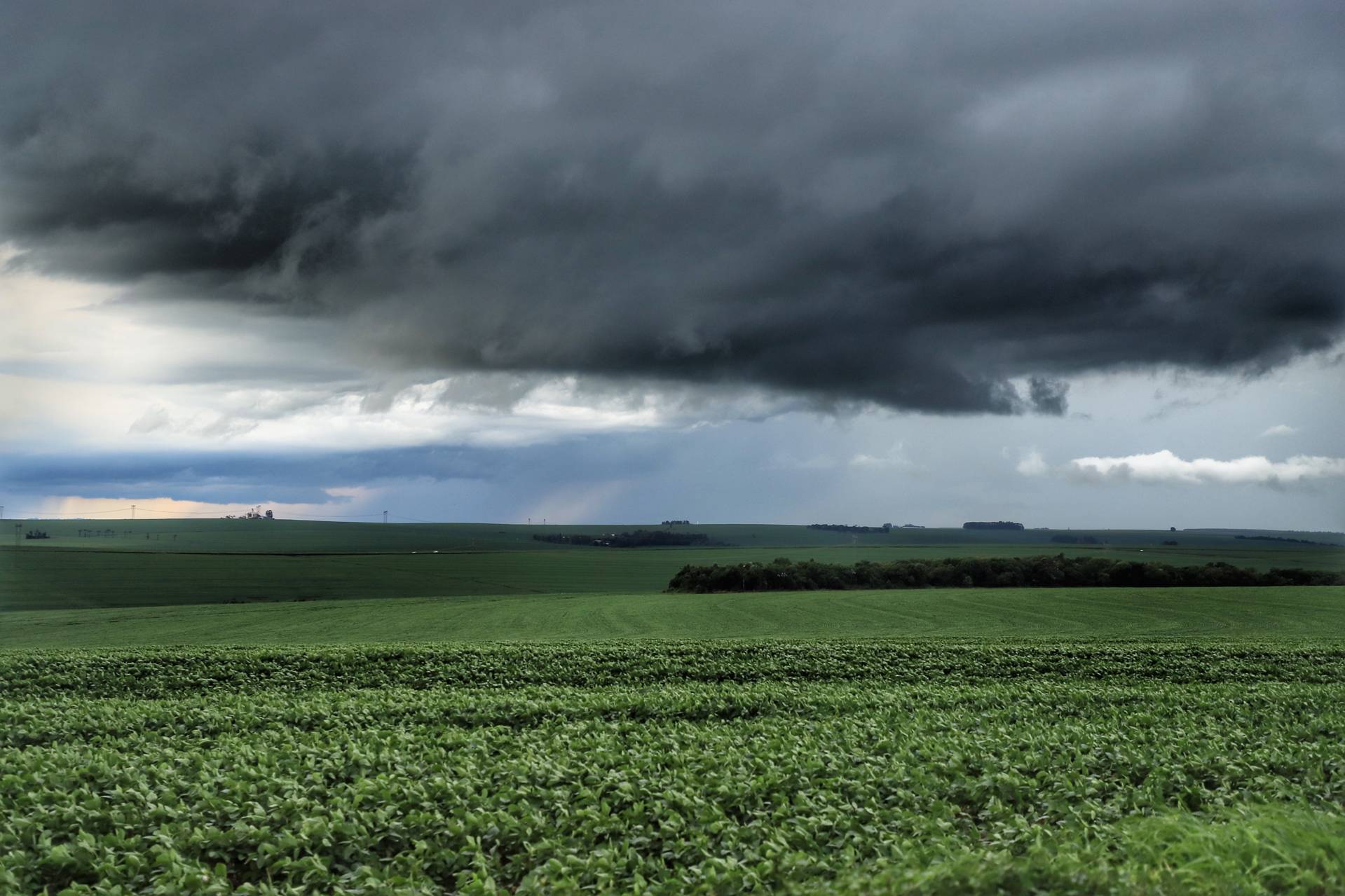  Com a volta das chuvas ao Estado, condições de plantio melhoram, segundo boletim agropecuário