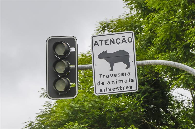  Cuidado Animal: Capivara passa a estampar placas de trânsito em Curitiba