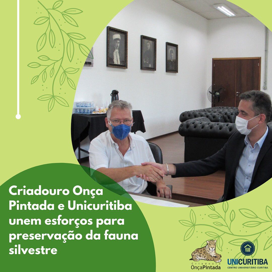  Criadouro Onça Pintada recebe apoio de Universidade de Curitiba