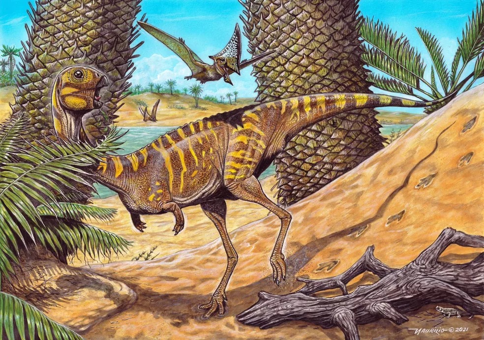  Nova espécie de dinossauro descoberta no Paraná é anunciada pelo Museu Nacional