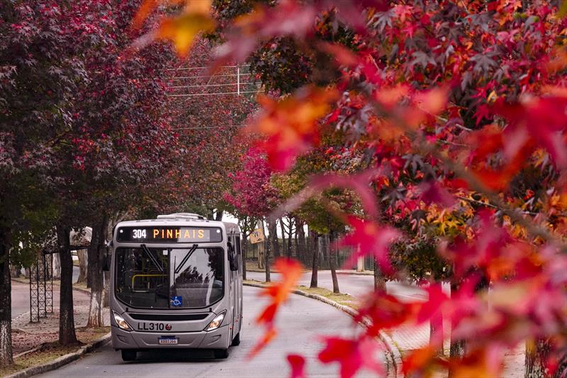  Folhas caem no quintal: outono será seco, no Paraná