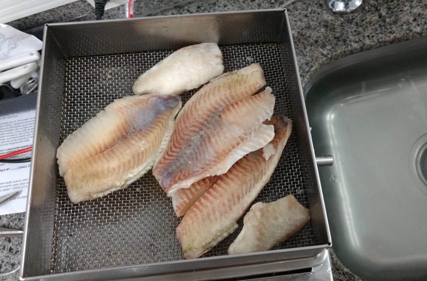  Ipem-PR faz alerta aos consumidores na compra de pescados