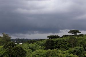 Paraná integra coalizão para mitigação dos efeitos do aquecimento global