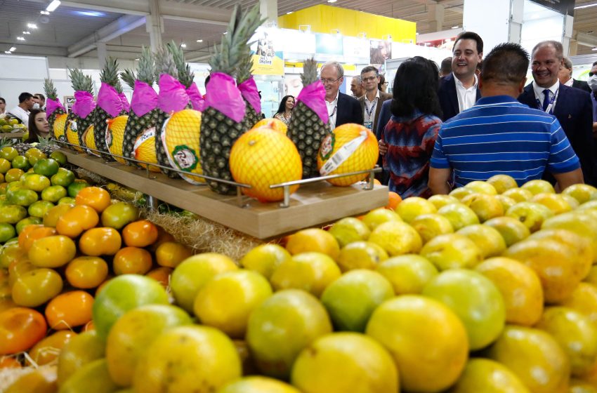  Feira reúne supermercados e pequenos produtores em Pinhais