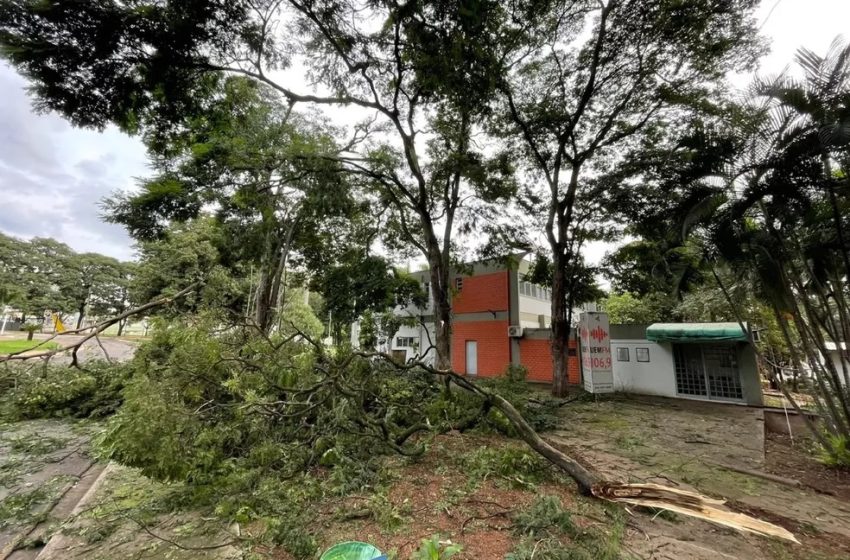  Após chuvas, UEM suspende aulas nesta segunda-feira