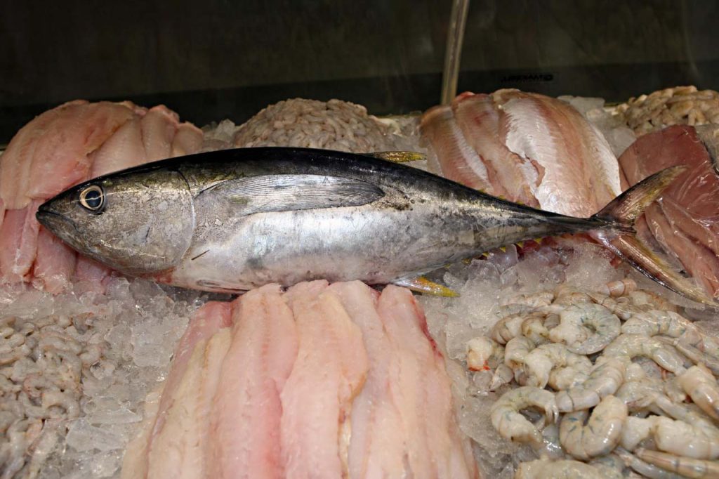 Vigilância Sanitária alerta sobre cuidados na hora de comprar pescados