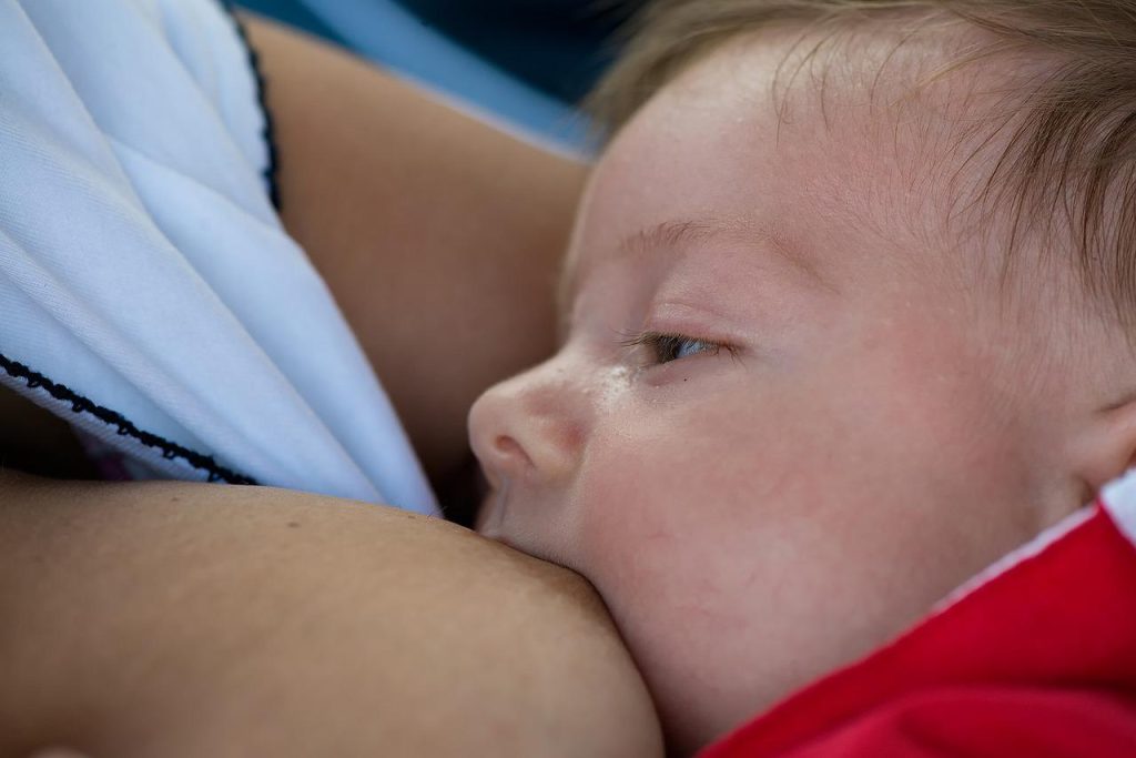 Leite materno contém todos os nutrientes necessários para o bebê