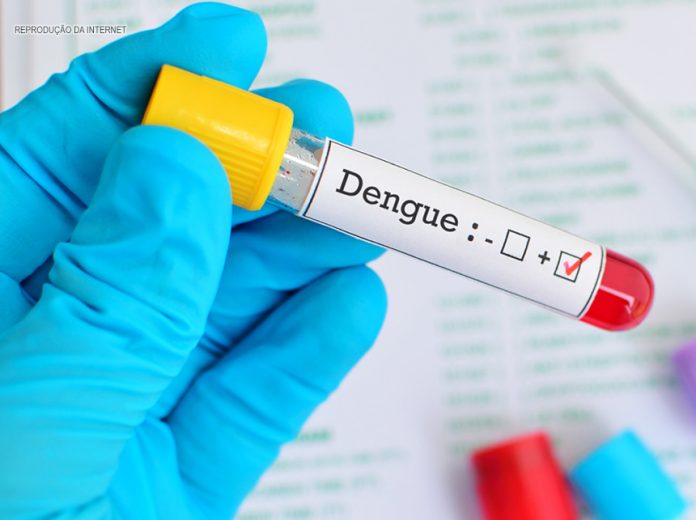 Dengue: Paraná registra 123 casos em uma semana