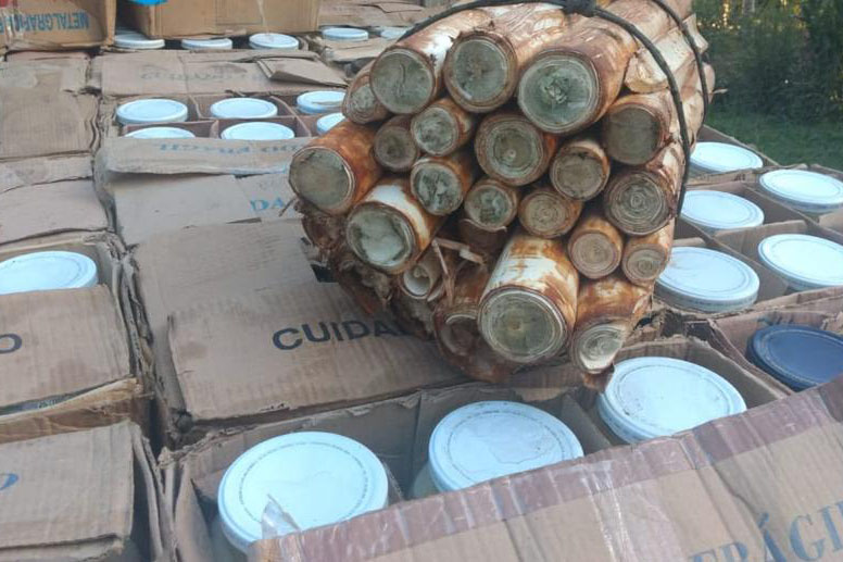  PMPR apreende 3 toneladas de palmito em fábrica clandestina