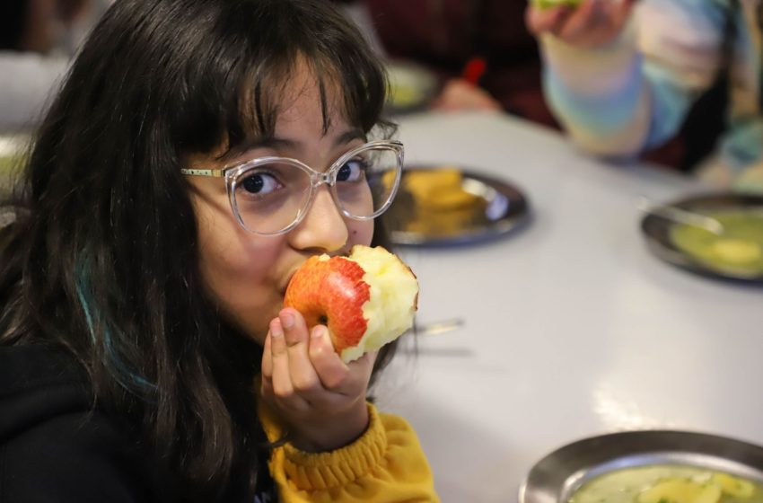  PR promete oferecer três refeições diárias nas escolas