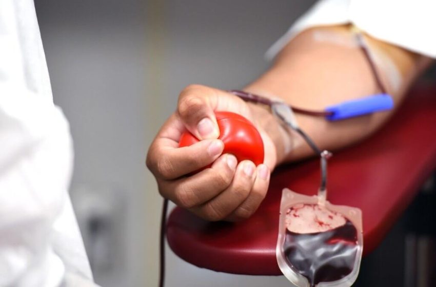  Bancos de sangue do Paraná pedem reforço na doação