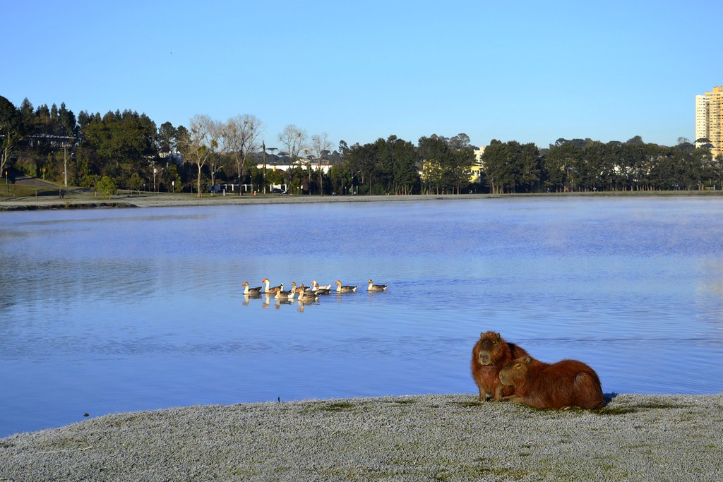 Paraná tem frio ao amanhecer e possibilidade de geada