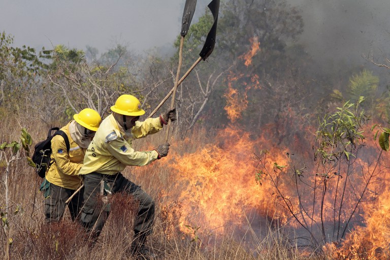  Paraná está em alerta para riscos de incêndios florestais