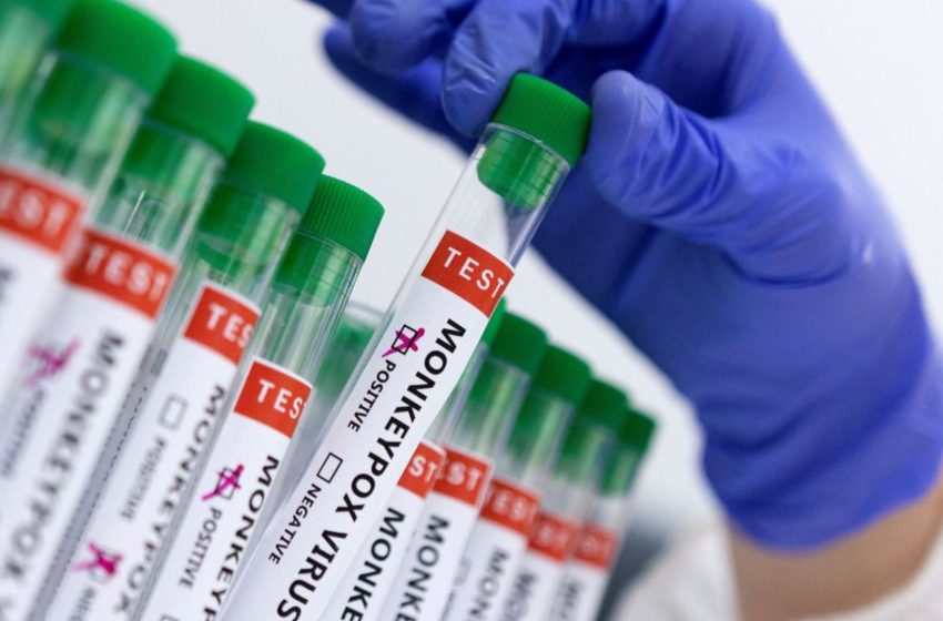  Paraná confirma mais 24 casos de varíola dos macacos