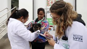 Santa Felicidade recebe cães e gatos para vacinação  e consulta