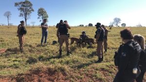 75kg de cocaína arremessados de aeronave são apreendidos no Paraná