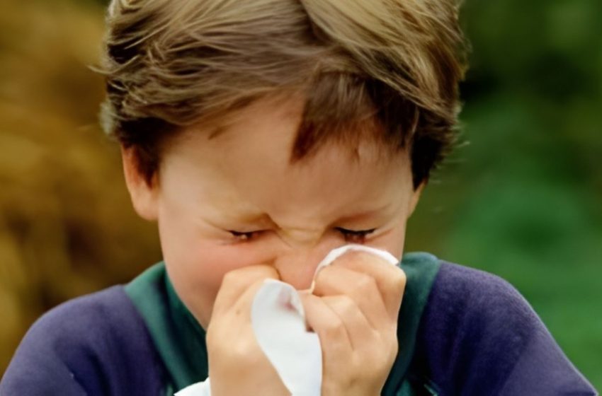  INFO Gripe aponta aumento significativo da SRAG entre crianças