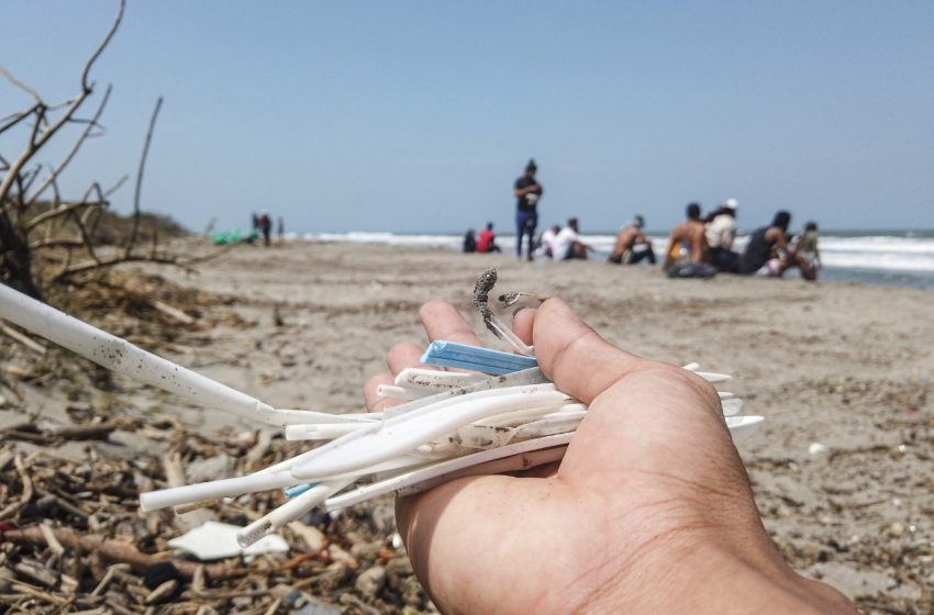  Praias recebem mais um mutirão de limpeza no sábado