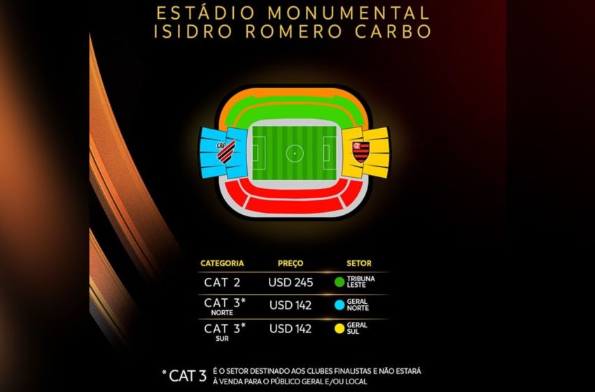  Torcedora freta avião para final da Libertadores