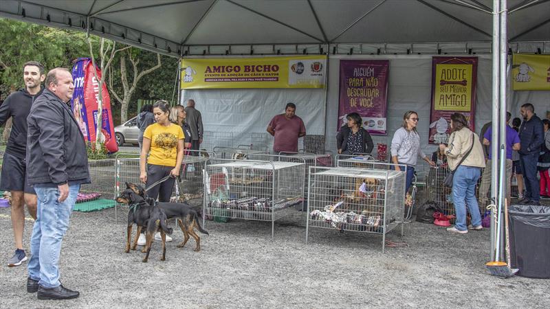 Parque Barigui recebe feira de adoção de cães e microchipagem