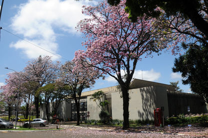  Venda de doces eróticos pode ser proibida em Londrina