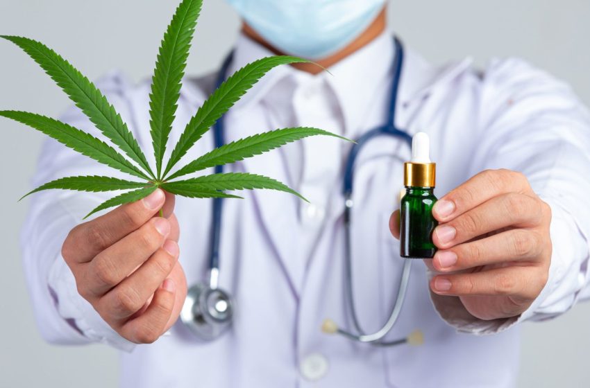  Cannabis medicinal volta à pauta dos deputados estaduais