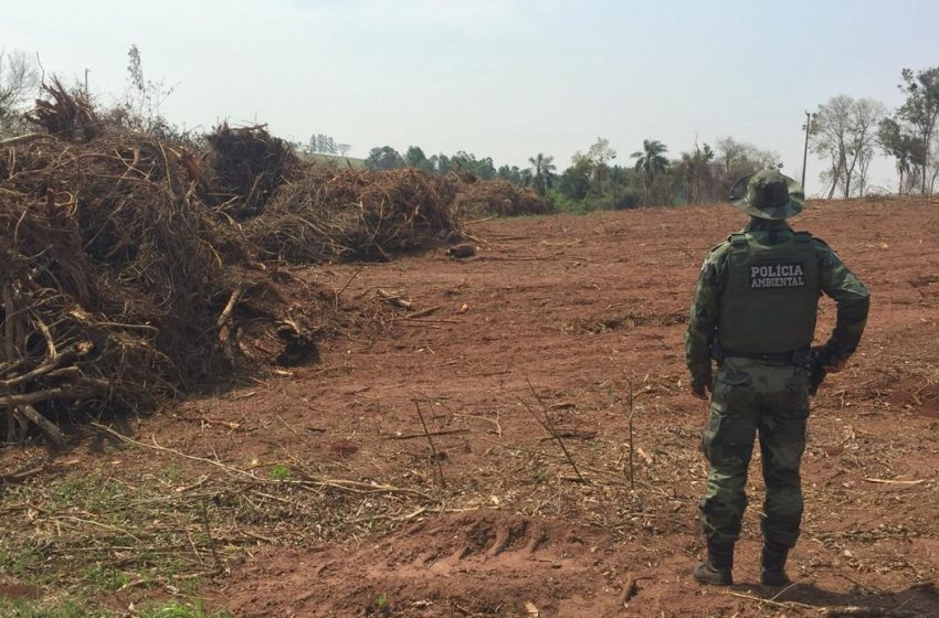  Infração ambiental pode suspender subsídios e financiamentos, diz norma