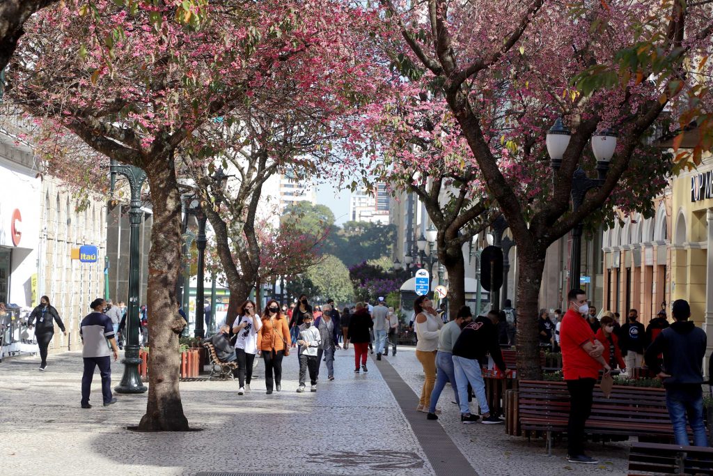 Paraná tem o sexto maior rendimento domiciliar per capita