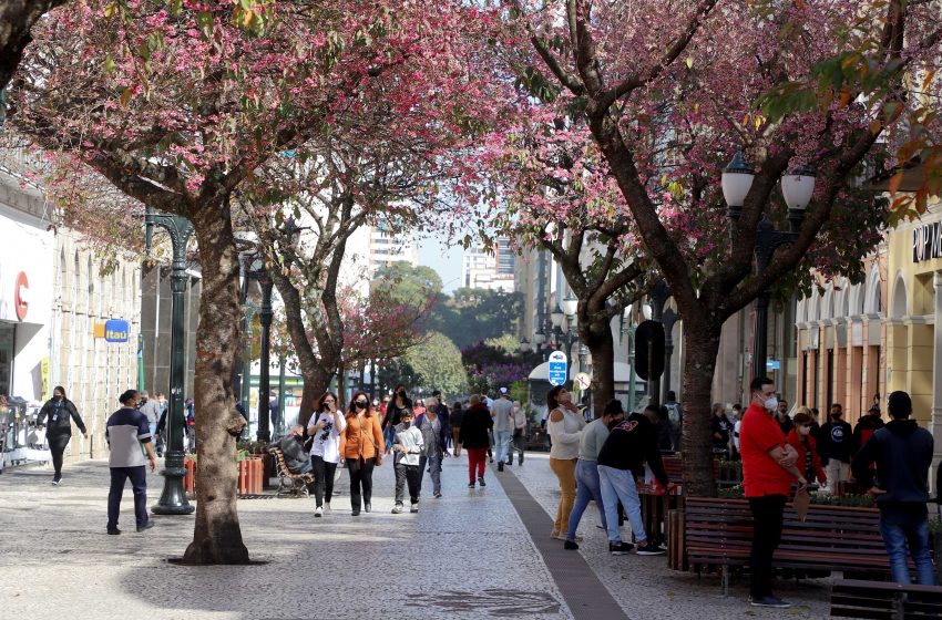  Paraná tem o melhor Índice de Gini da região Sul