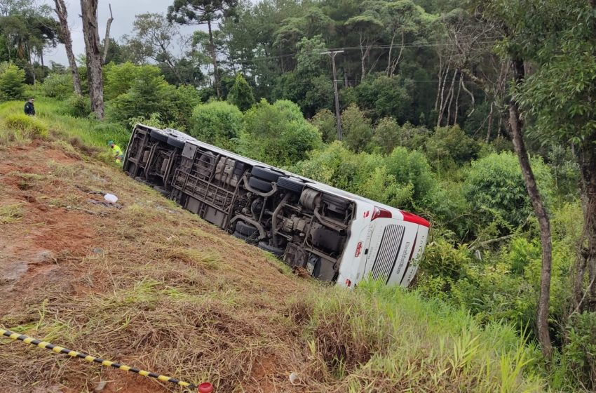  Ônibus com turistas estrangeiros tomba e deixa sete mortos