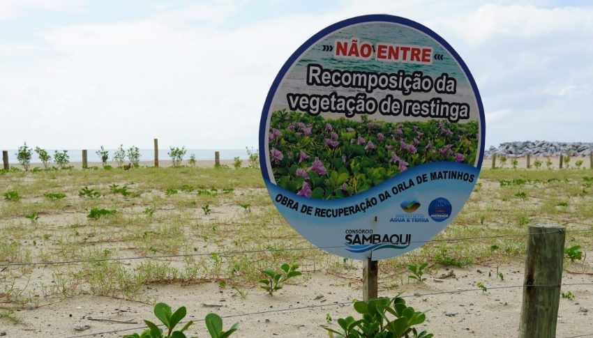  Liminar suspende corte de restinga nativa na orla de Matinhos