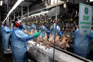 Com rodovias do Paraná comprometidas, carne supera soja nas exportações