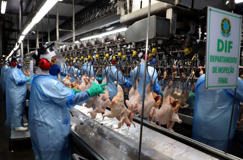  Com rodovias do Paraná comprometidas, carne supera soja nas exportações