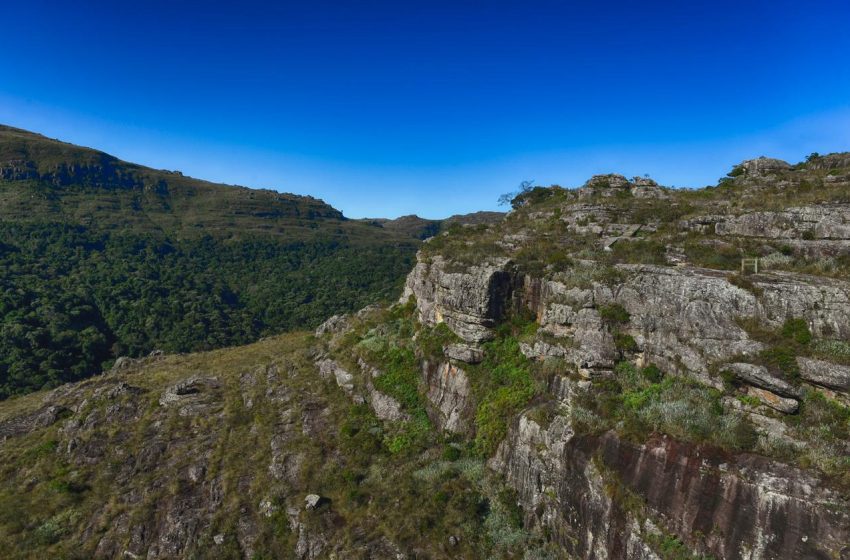  Paraná avança para adotar créditos de biodiversidade