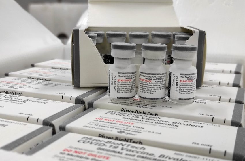 Vacinas bivalentes contra a Covid-19 chegam ao Paraná