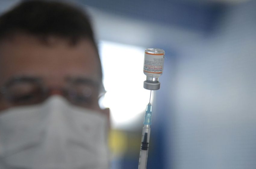  Brasil começa a aplicar vacina bivalente contra covid-19