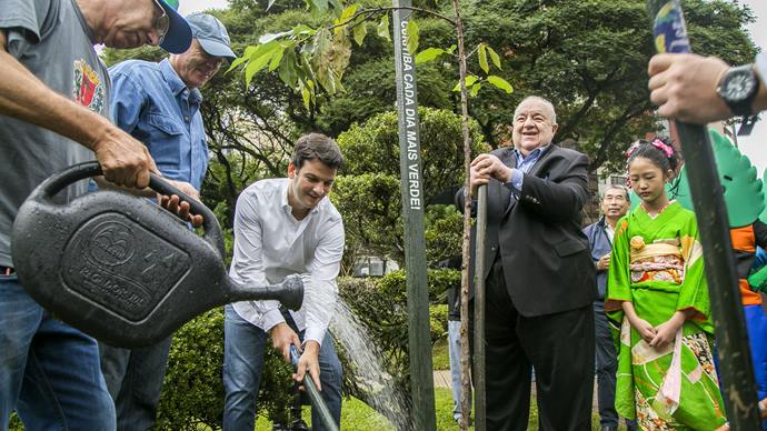  Comunidade japonesa doa mil mudas de cerejeiras para Curitiba