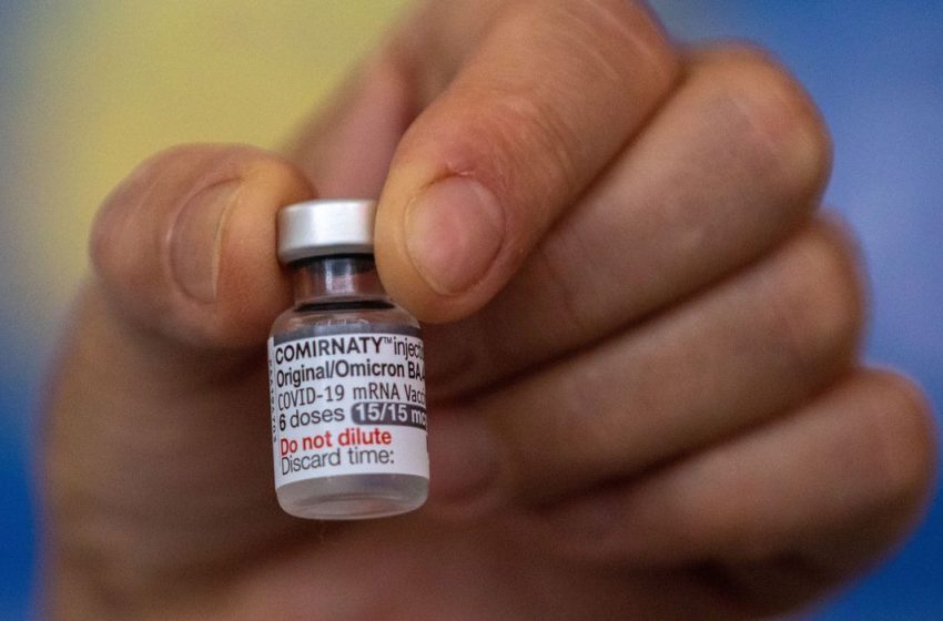  Covid-19: Anvisa atesta segurança de doses da vacina bivalente