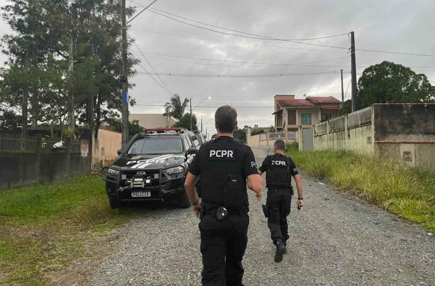  Suspeitos por furtos a veículos de luxo são presos no Paraná