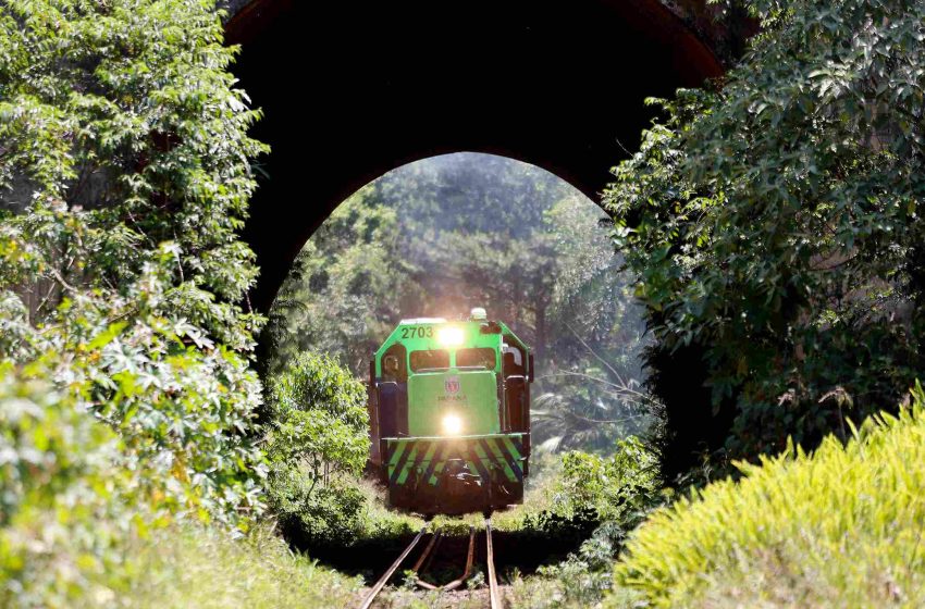  Nova Ferroeste: MPF recomenda novo estudo de impacto ambiental