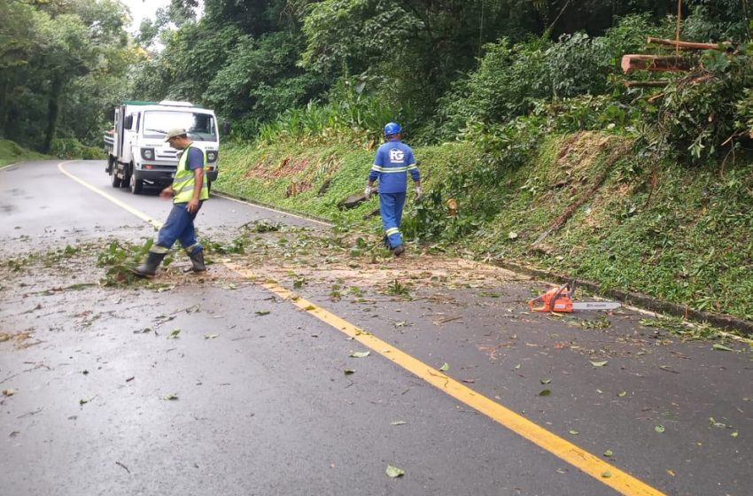  Estrada da Graciosa tem congestionamentos