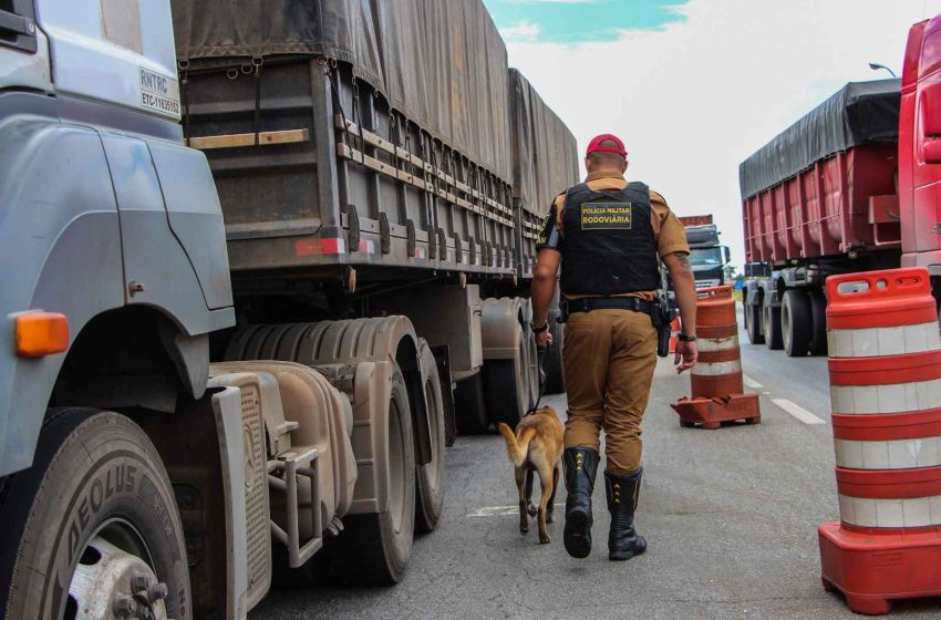  Rodovias estaduais terão ações de reforço na segurança