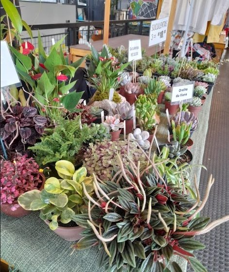  Feira vegana é promovida em Curitiba