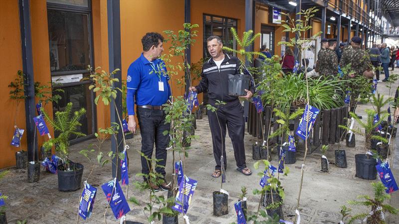  Mudas nativas são distribuídas gratuitamente em Curitiba