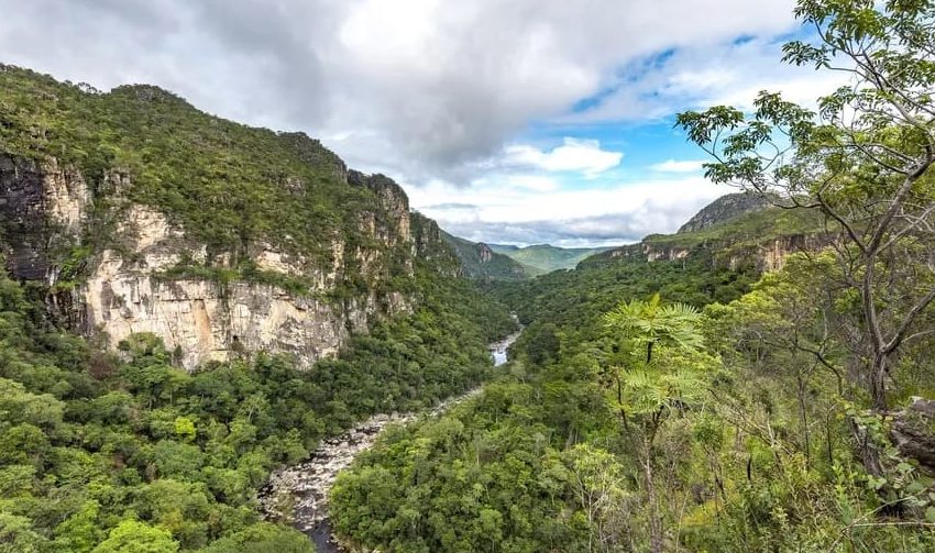  58% dos parques naturais não possuem estrutura para visitação